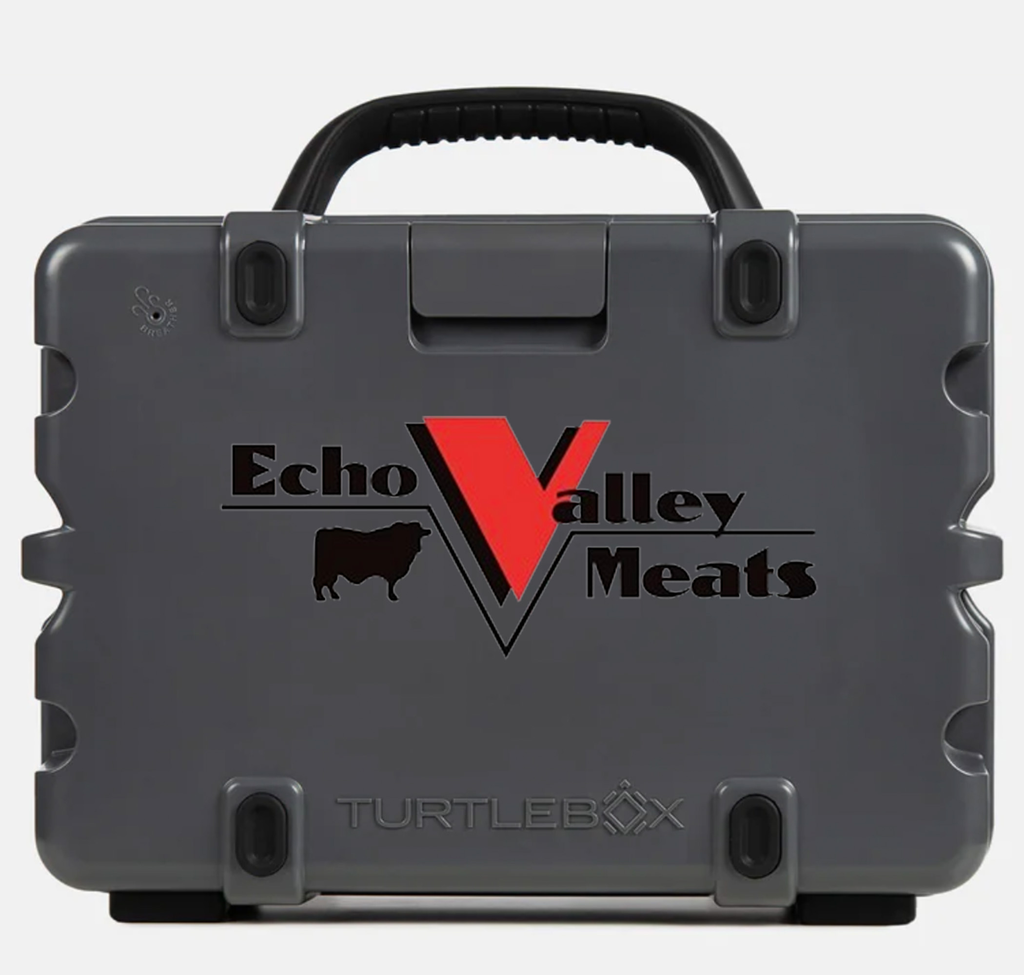 Audio & Electronics – Echo Valley Promo